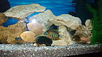 IMG 20141208 202811