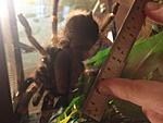 IMG 0188