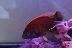 IMG 7027.JPG