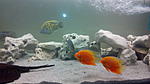 IMG 20141209 175827