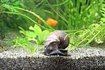 IMG 7119