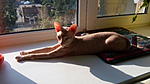 IMG 20150520 173757
