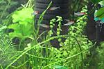 IMG 7142