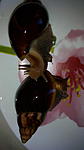 IMG 20150607 114229