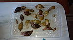 IMG 20150901 121403