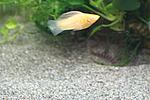 IMG 7050