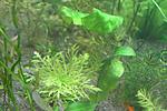 IMG 7060