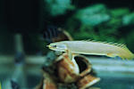 IMG 7049.JPG