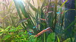 IMG 20150830 165420
