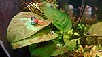 DSC 0452 - 