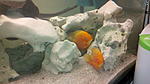 IMG 20141209 175726