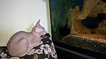 IMG 20150409 131351