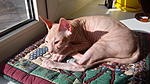 IMG 20150409 165019