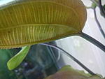 IMG 20150725 235048