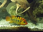 DSCN0104