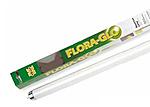 floraglobig 11 enl
