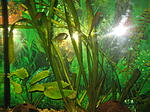 IMG 0048
