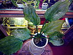 IMG 20140524 235140