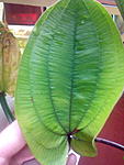 IMG 20150725 234503