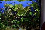 DSC0419