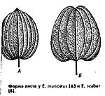 0094