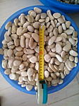 IMG 20151004 163409