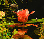 DSCN9436