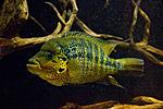 20151008 IMG 7357
