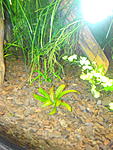 IMG 20151006 121141