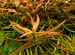 DSCN9410