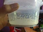 nematoda5