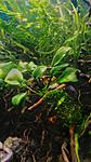 P 20151010 025358 01