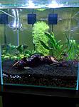 IMG 20150510 202909