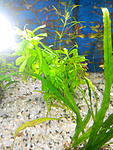 IMG 20151006 115531
