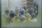IMG 5817