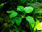 IMG 20151102 165705