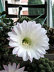 IMG 5969