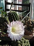 IMG 5974