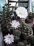 IMG 5970