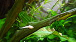 DSC07297