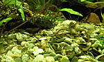 IMG 20151101 192603