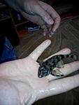 IMG 20151104 144749[1]