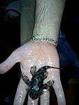 IMG 20151104 144719[1]