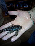 IMG 20151104 144807[1]