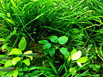 IMG 20151102 165657
