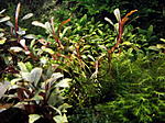 DSCF1708