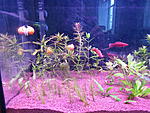 IMG 7677[1]