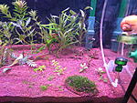 IMG 7679[1]