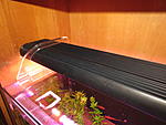 IMG 7684[1]