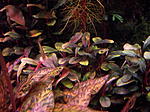DSCF1700